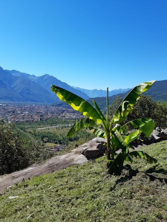 Ossola Dal Monte - Affittacamere Crevoladossola Exteriör bild